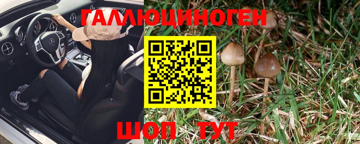 Кузнецк  Псилоцибиновые грибы MAGIC MUSHROOMS  Вход с VPN  Галлюциногенные грибы GOLDEN TEACHER 